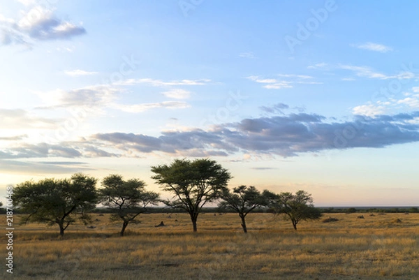 Fototapeta Morgenstimmung