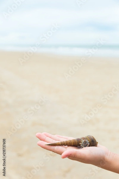 Fototapeta Sea shell on child's hand, beach sand background.