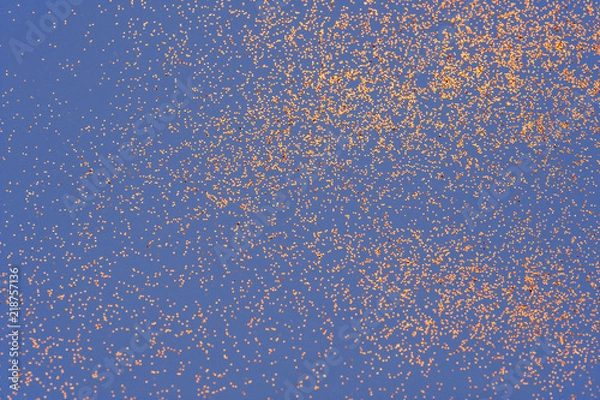 Fototapeta Blue texture with scattered small sequins