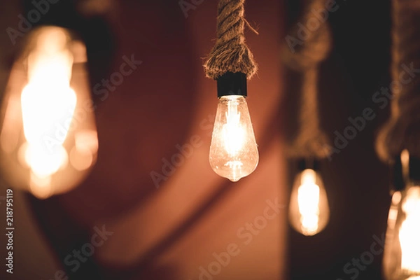 Obraz Edison Bulb 1