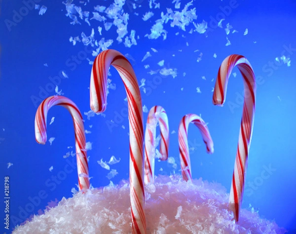 Obraz candy in a snow drift
