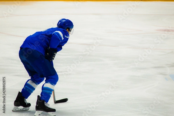 Obraz Ice hockey player