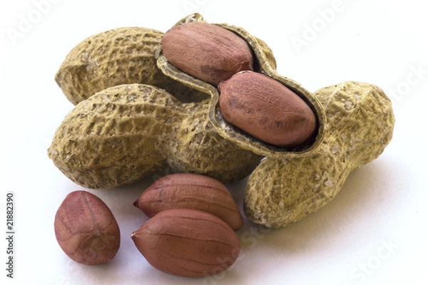 Obraz Peanuts