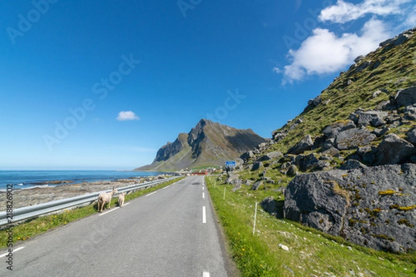 Obraz Lofoten road #2
