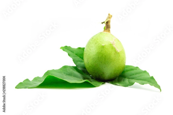 Obraz Medicinal Bael fruits on leaves isolated on white background