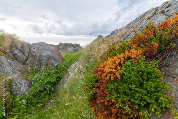 Fototapeta Lofoten_view_#25