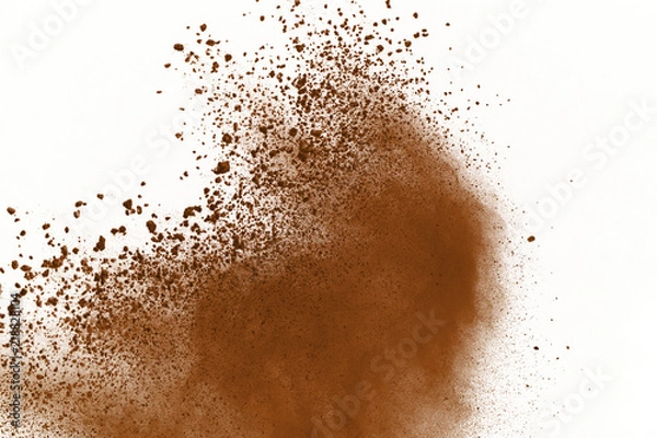 Fototapeta Dry soil explosion isolated on white background.