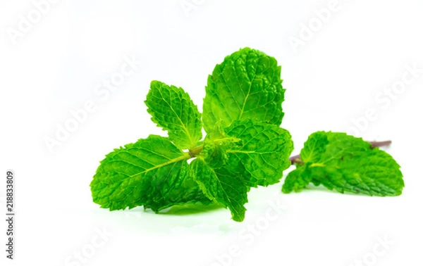 Obraz Spaermint isolated on white background
