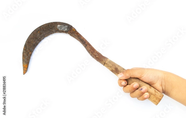 Obraz Hand holding a sickle isolated on white background