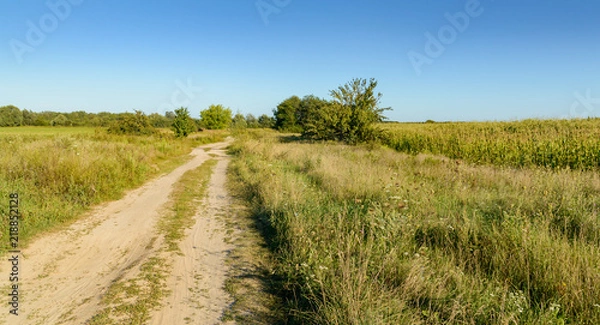 Obraz Summer warm evening outdoors