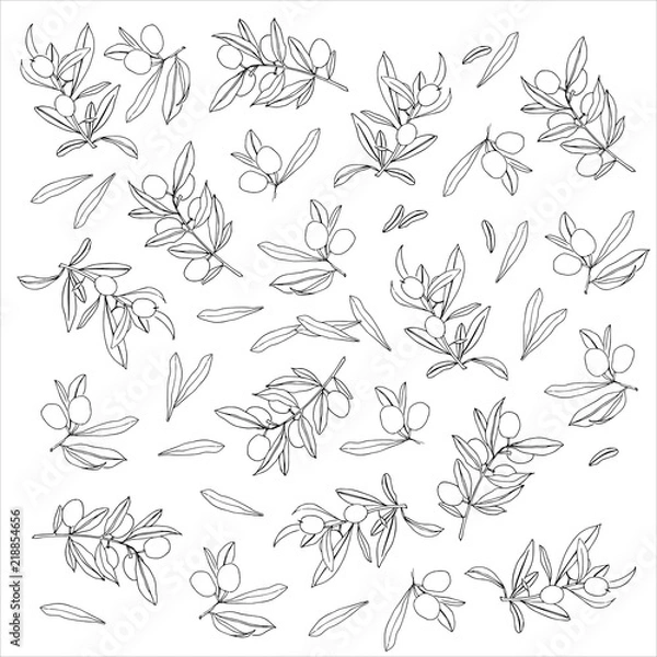 Obraz olive graphic beautiful background