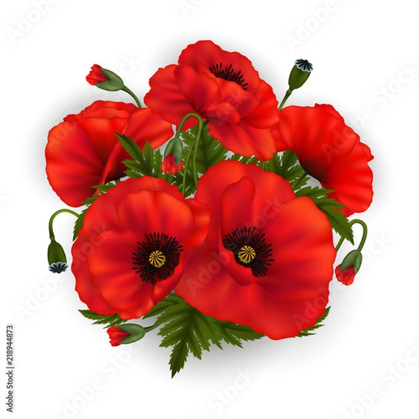 Obraz Poppy Flowers