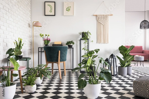 Fototapeta Real photo of an open space apartment interior for a freelancer with a green chair at desk in the foreground and a pink sofa in the background