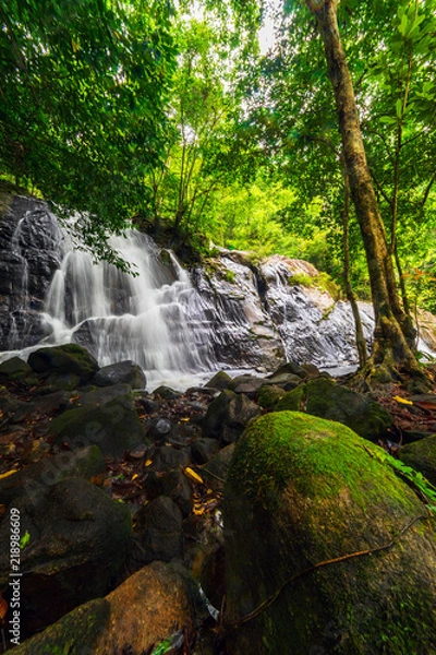 Obraz Beautiful nature waterfall