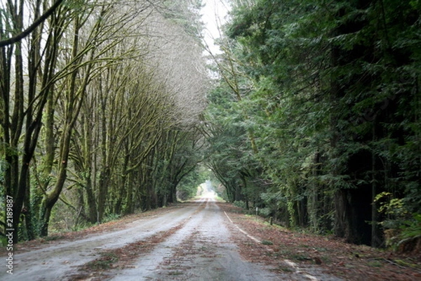 Fototapeta side road