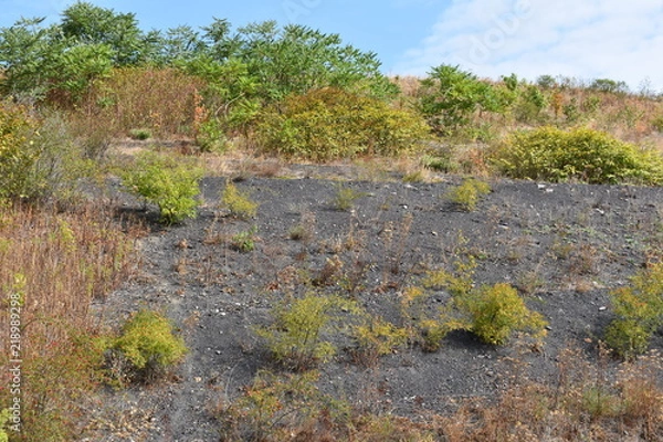 Obraz Ödland Hoheward