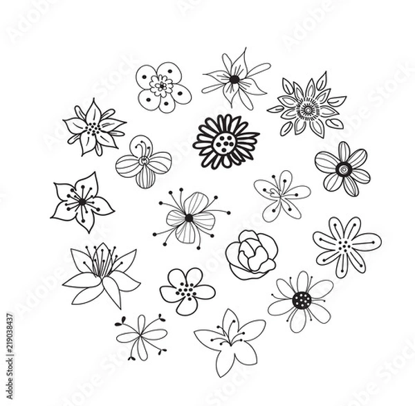 Fototapeta collection of botanical hand drawn doodles. meadow plants and flowers elements. pencil ink sketch of flowers and leaves. vector set of decorative elements. 