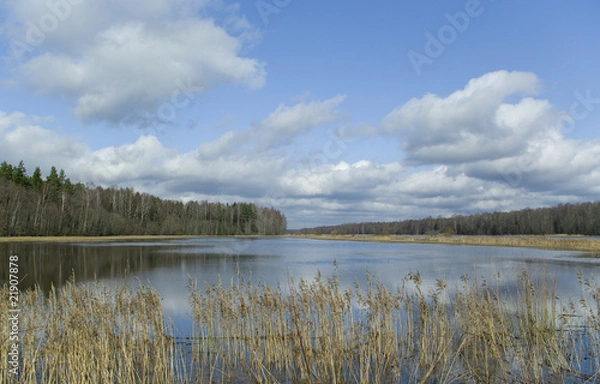 Obraz The spring`s water on the meadows.