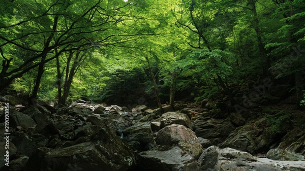 Obraz 赤目の沢２