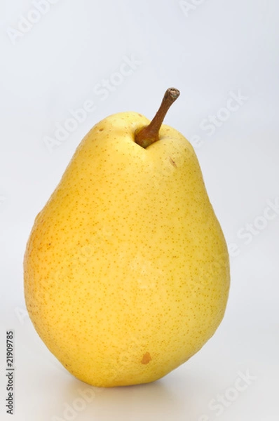Fototapeta The isolated pear
