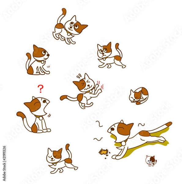 Fototapeta ネコ-ポーズ