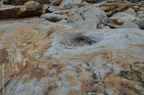 Fototapeta barencevo more000090