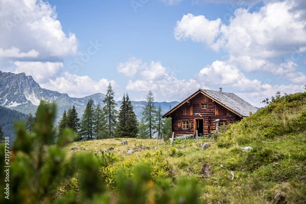 Fototapeta Chata alpejska w górach: drzewa, zielona łąka i błękitne niebo