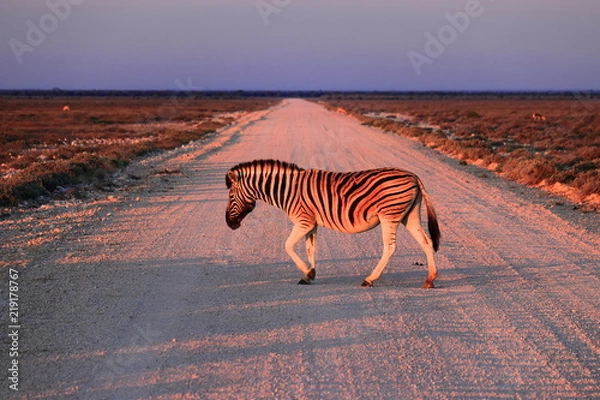 Obraz Zebrastreifen?!