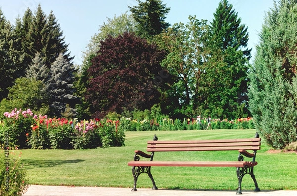 Obraz brown bench in foreground, meadow with grass and flowers growing in the garden, in background three girls walk through the park and watch the flowers, a sunny bright day, trees and blue sky are high