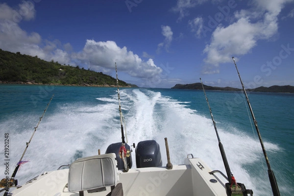 Fototapeta pesca traina seychelles