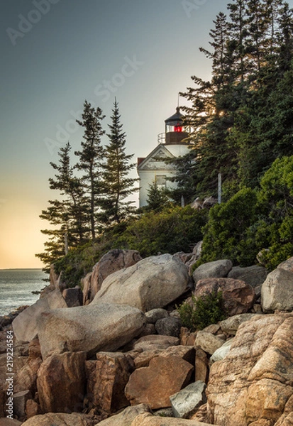 Obraz OLYMPUS DIGITAL CAMERA