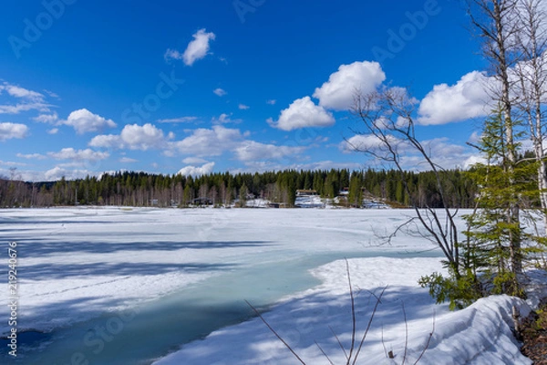 Fototapeta Small houses in the snowy forest overlooking the frozen lake