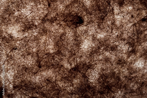 Obraz Backlit Paper Background, Backdrop