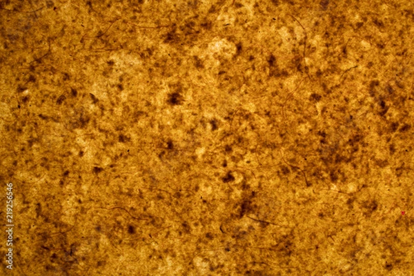 Obraz Backlit Paper Background, Backdrop