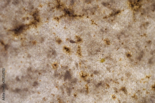 Obraz Backlit Paper Background, Backdrop