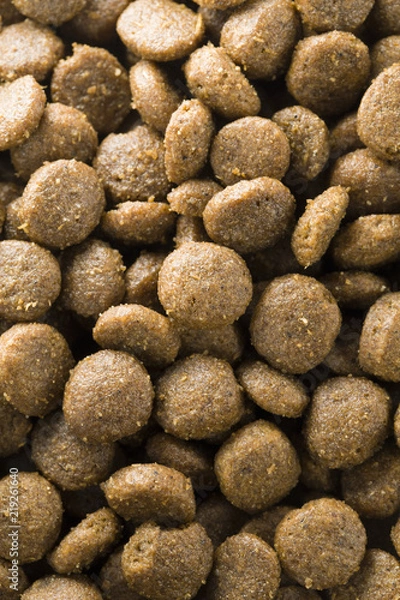 Obraz Croccantini per animali