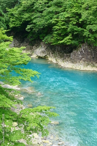 Fototapeta ミルキーブルーの渓流。秋田の観光名所、抱返渓谷。仙北　秋田　日本。７月中旬。