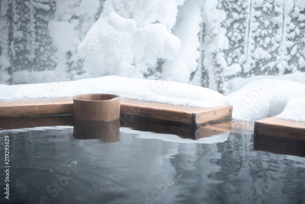 Obraz Onsen cover by snow