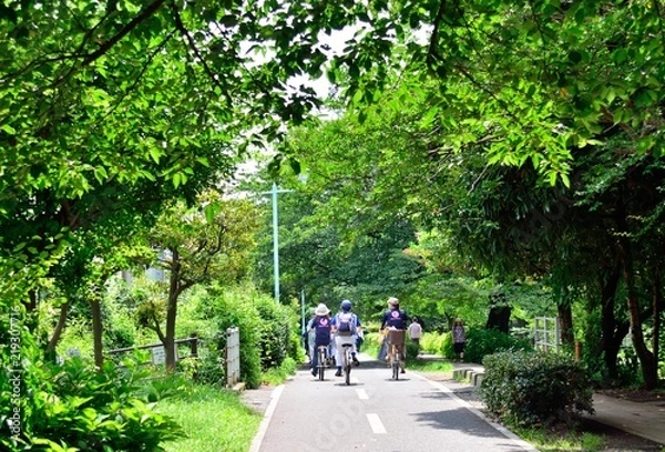 Fototapeta 新緑の中のグリーンロード（東京都小平市）
