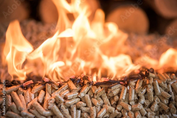 Obraz Burning wooden pellets