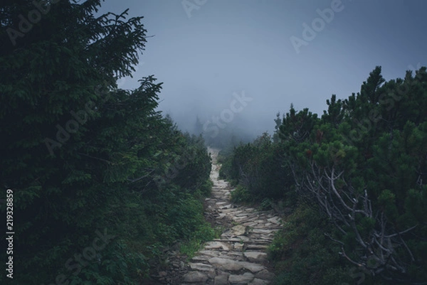 Fototapeta Mysterious hiking trail in the mountains
