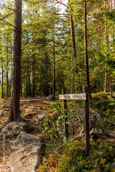 Fototapeta Toilets ("Hussi" in Finnish) and cabin in the camp sites in the Kolovesi National Park  - 1