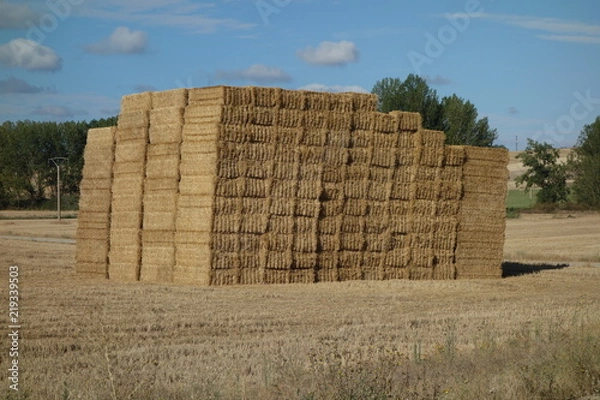 Obraz gestapelte eckige Strohballen