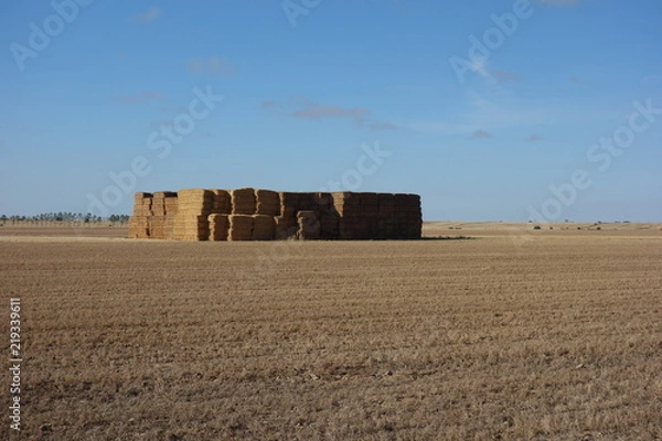 Obraz gestapeltes Stroh
