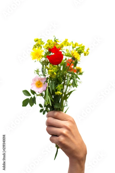 Fototapeta bright wildflowers in a human hand on a white background