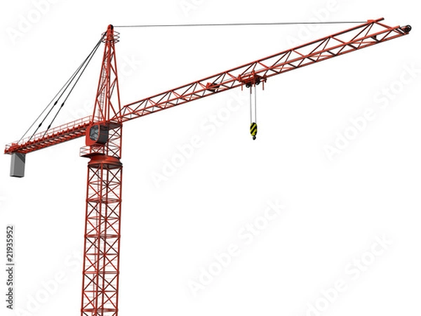 Obraz Isolated Crane