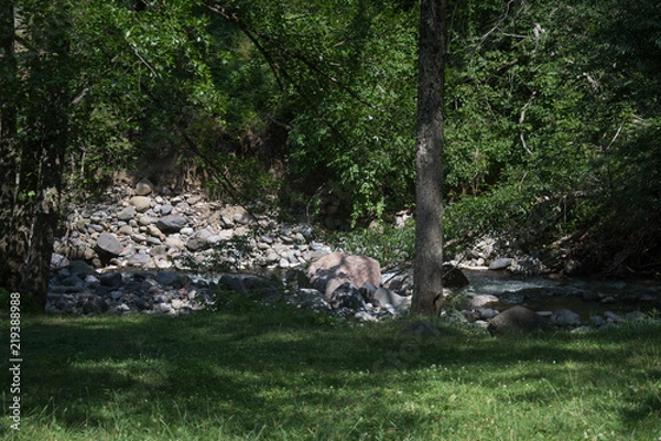 Fototapeta The mountain river