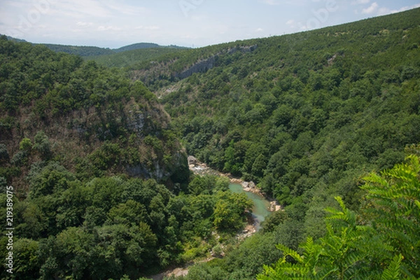 Fototapeta The mountain river