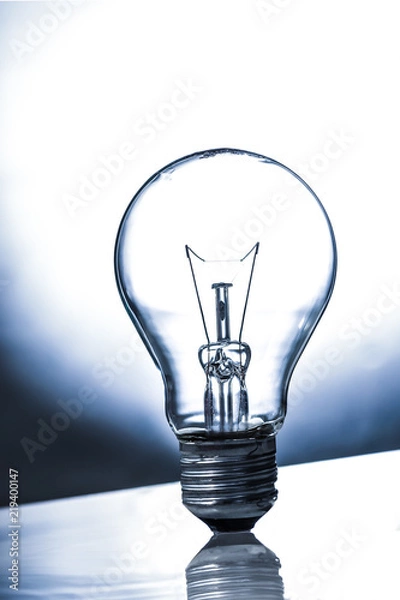 Obraz Light blub on white black ground