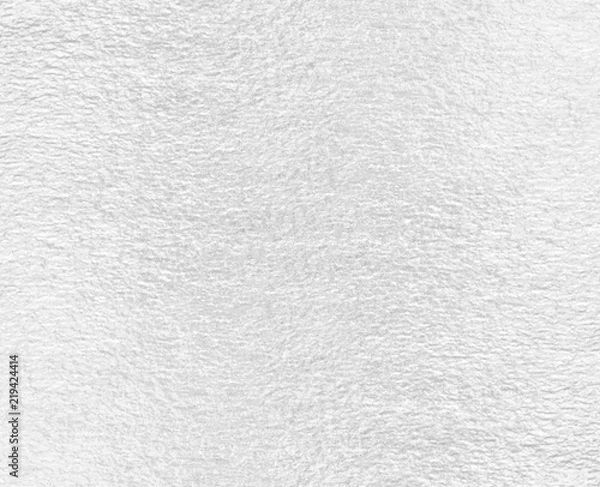 Obraz Shiny leaf silver foil paper